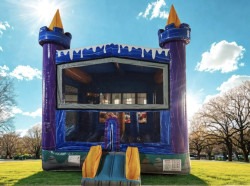 Ice Castle Bounce House